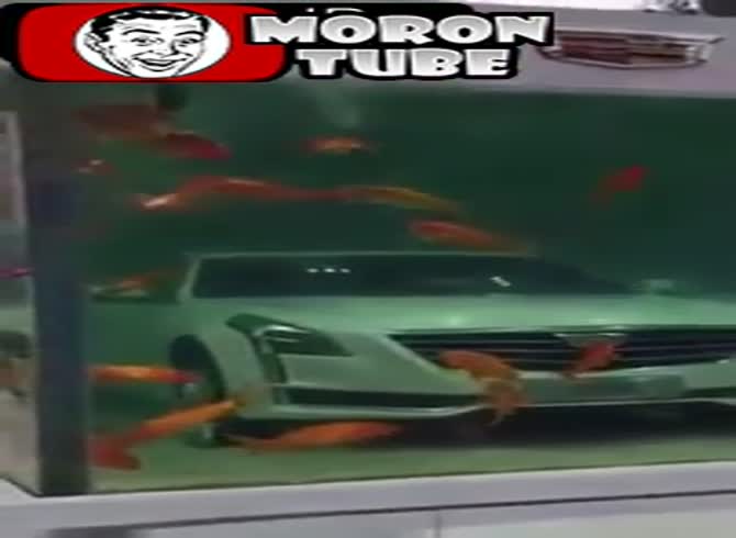 Video :An incredible piece of advertising to support the Cadillac brand